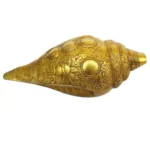 Natural Brass Vishnu Shankha, For Pooja