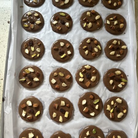 Fruit N Nut on milk chocolate coated biscuits (6pcs)