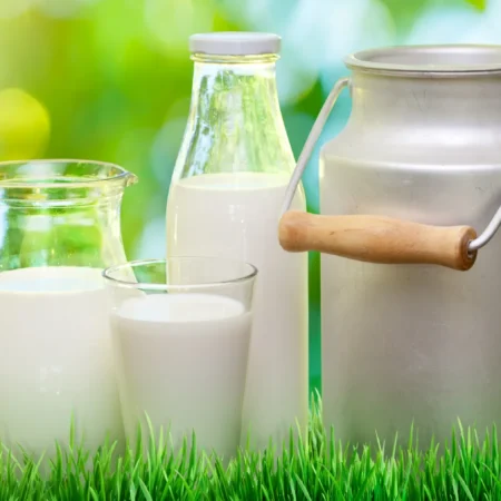 Milk | Pure Antibiotic-Free Milk, Low Calorie, Low Fat, Long Shelf Life, No Chemical Residues, Convenient And Ready-To-Use,